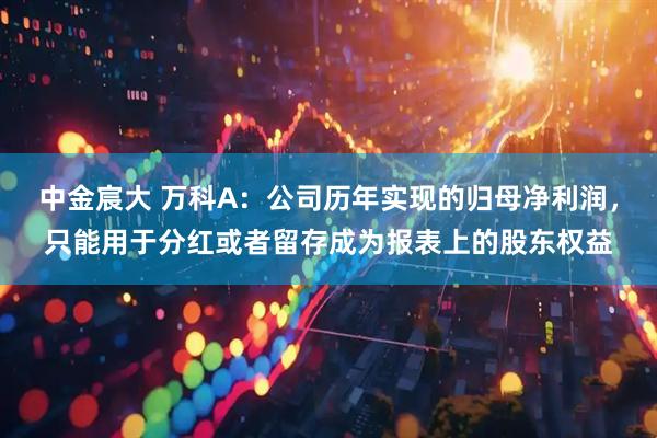 中金宸大 万科A：公司历年实现的归母净利润，只能用于分红或者留存成为报表上的股东权益