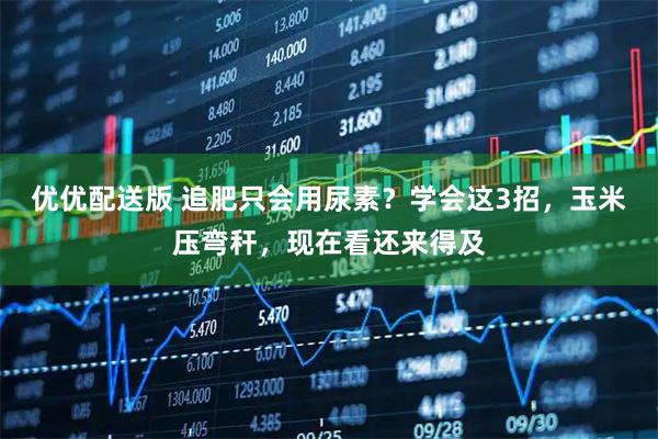 优优配送版 追肥只会用尿素？学会这3招，玉米压弯秆，现在看还来得及