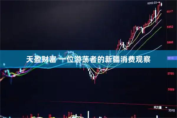 天盈财富 一位游荡者的新疆消费观察