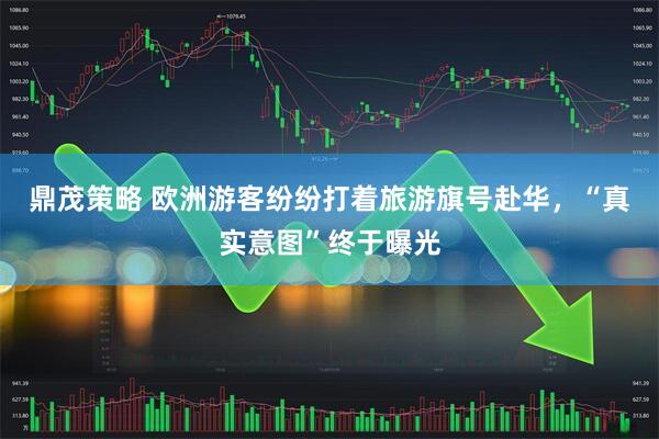 鼎茂策略 欧洲游客纷纷打着旅游旗号赴华，“真实意图”终于曝光